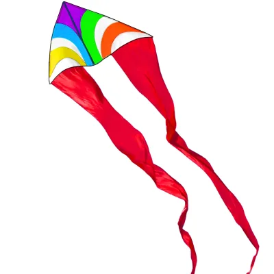 Cerf-volant delta arc-en-ciel avec poignée – image 2